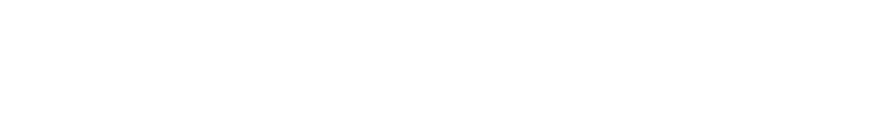 Top Finaet