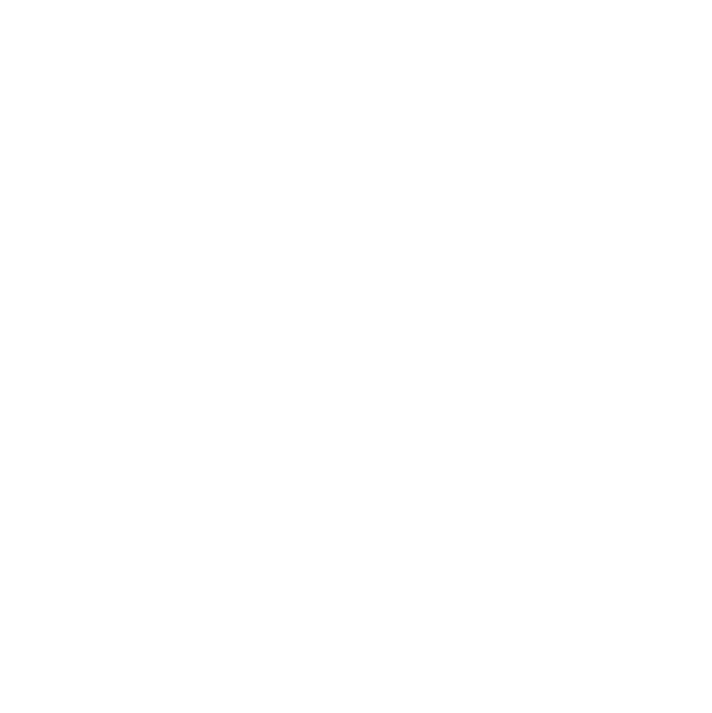 Top Finaet